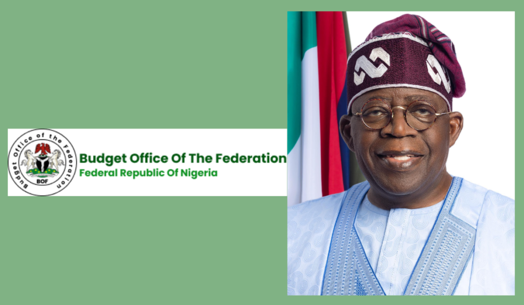 Tinubu Stops Funding Of Health Councils And Professional Bodies