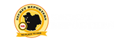 Secret Reporters