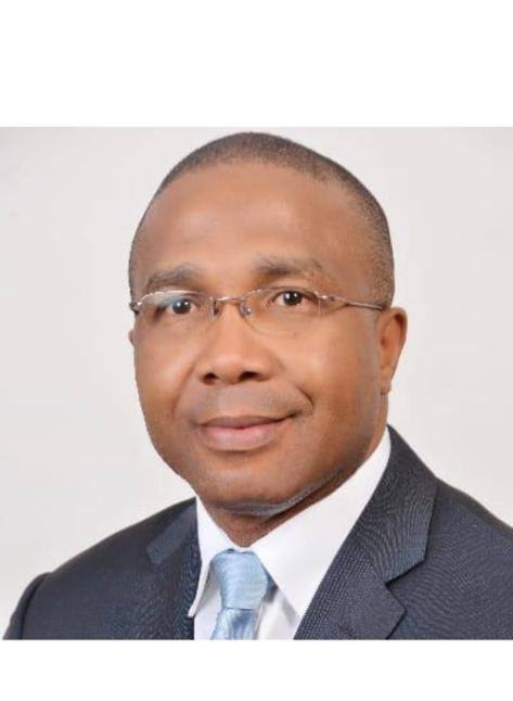FERMA MD Chukwuemeka Agbasi