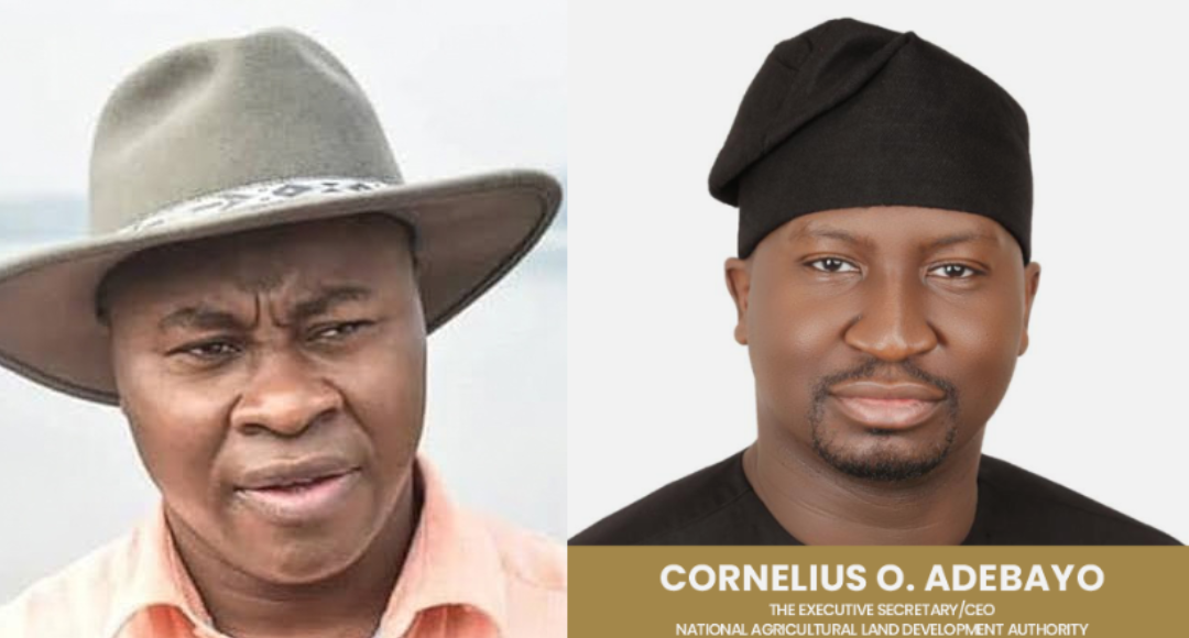 NALDA Audit: ₦41.2 Billion Procurement Breaches Flagged Under Paul Ikonne, Cornelius Adebayo