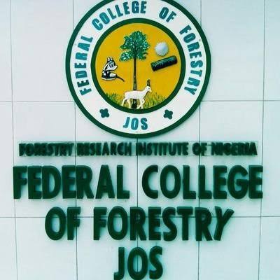 Forestry College Jos Records ₦242.7 Million Contract Irregularities, Including Inflated Tax Certificate