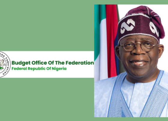On Your Own: Health Workers, Surveyors, And Others In Tears As Tinubu Stops Funding Of Health Councils And Professional Bodies