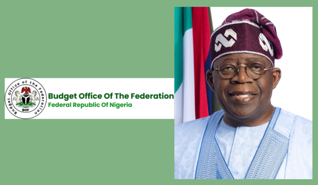 On Your Own: Health Workers, Surveyors, And Others In Tears As Tinubu Stops Funding Of Health Councils And Professional Bodies