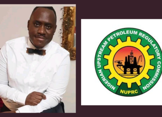 Nigerian upstream senior economist