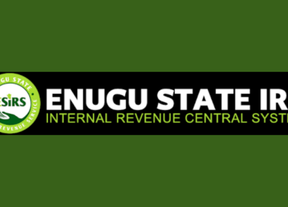 Enugu state IRS