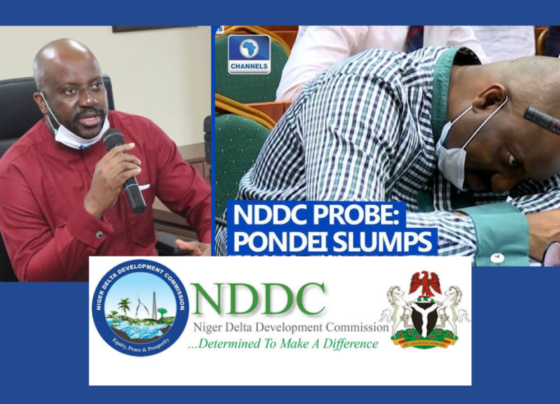 NDDC