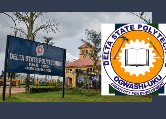 Political Connections, Breach of Regulations Taint Recruitment of Bursar, Registrar at Delta State Polytechnic
