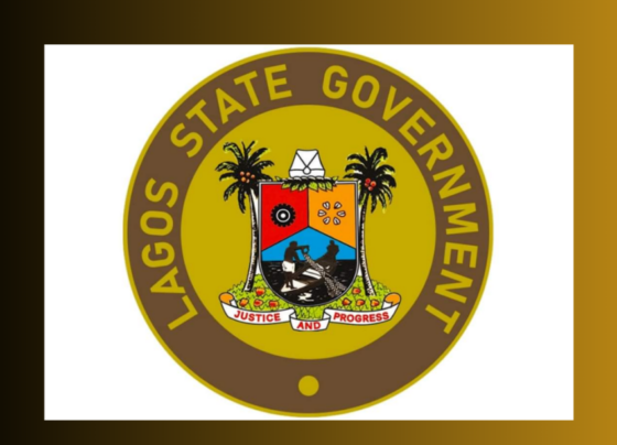 Lagos University Teaching Hospital Doctor, Francisca Egube Disguises As Contractor, Corners 13 Contracts from Lagos Government Worth Over N600 Million