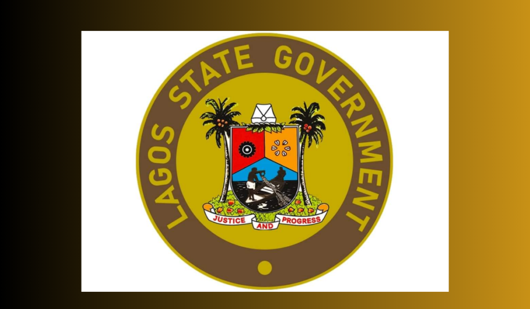 Lagos University Teaching Hospital Doctor, Francisca Egube Disguises As Contractor, Corners 13 Contracts from Lagos Government Worth Over N600 Million