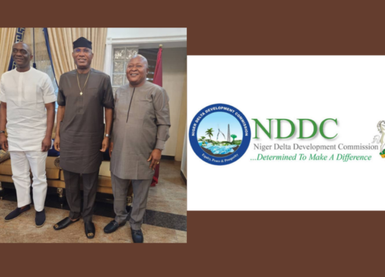 CHIEDU EBIE: A TECHNOCRAT TAKES ON THE NDDC
