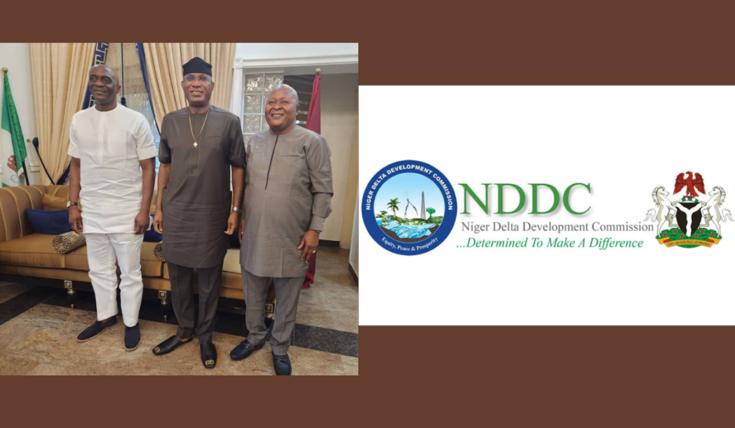 CHIEDU EBIE: A TECHNOCRAT TAKES ON THE NDDC