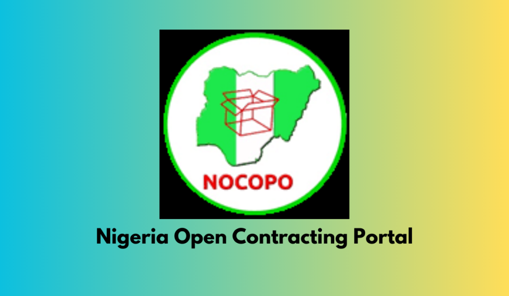 Investigation Reveals Alarming Lack of Transparency in Nigerian State Procurement Policies