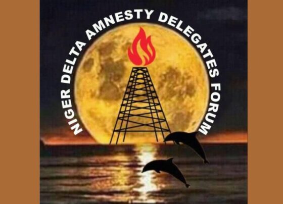 amnesty delegates forum