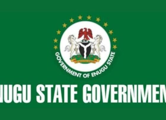 enugu state government logo