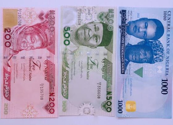 Cry For Help: Nigerian Banks Steal from Customers Unabatedly as Buhari, CBN Look On