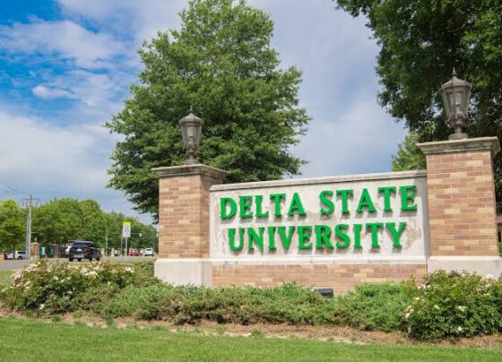 Swift Deal: Delta State University and Goldmark Concepts Implicated in Contract Racketeering as Computer Venture Secures N39 Million While N140 Million Remains Missing